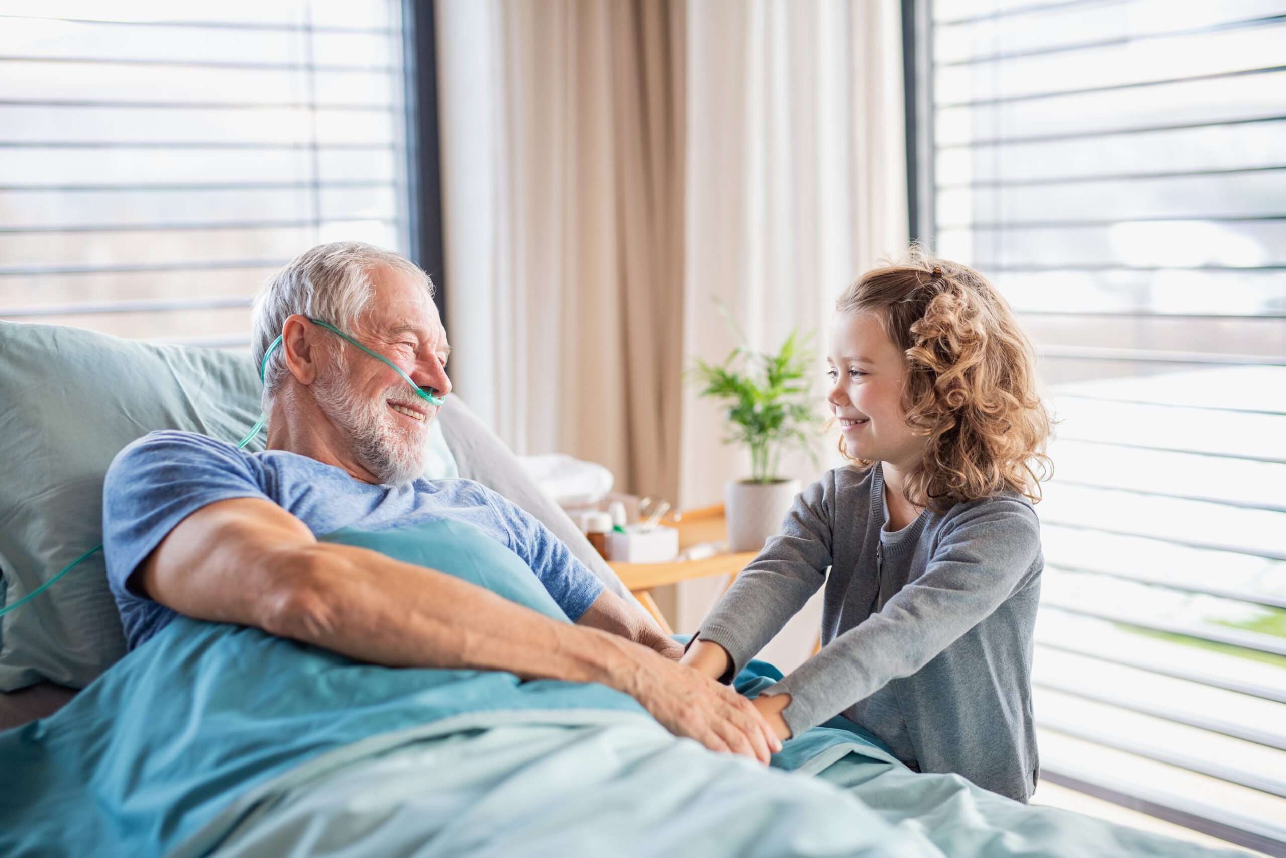 Homecare, Hospitalización domiciliaria